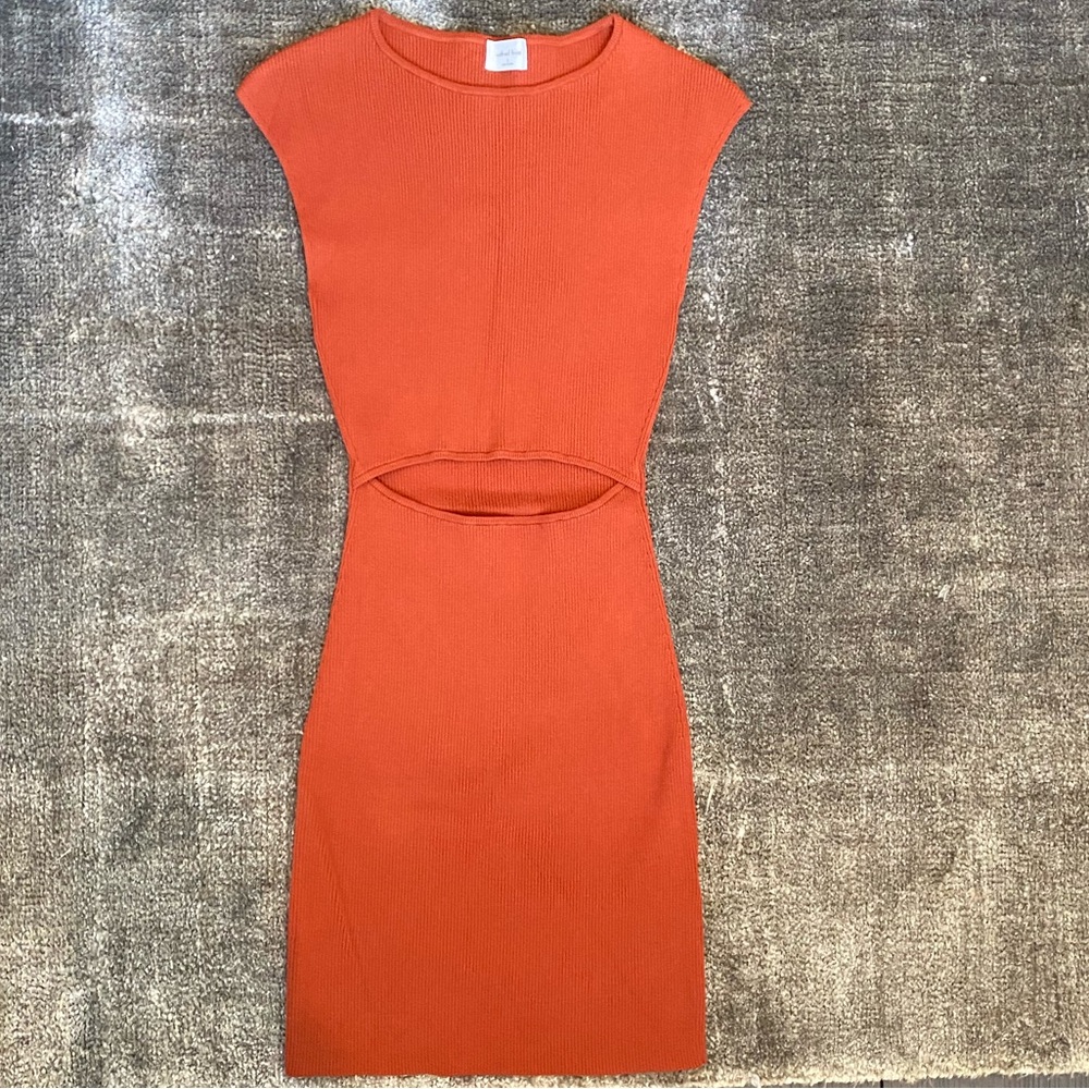 Wilfred free (Aritzia) knit mini dress (S)